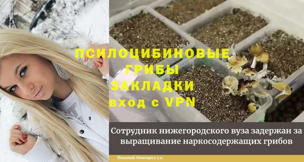кокаин Белокуриха