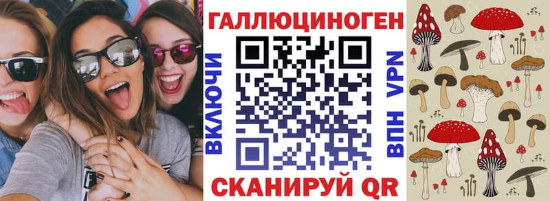 Псилоцибиновые грибы Psilocybine cubensis  Чегем 